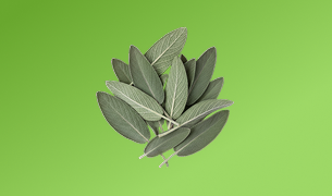 Cognitive Support Blend