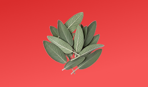 Cognitive Support Blend