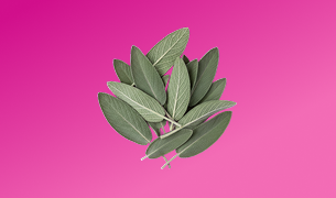 Cognitive Support Blend