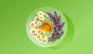 Chamomile & LavenderExtract
