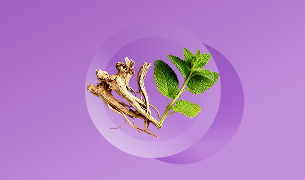 Valerian Root & Lemon Balm