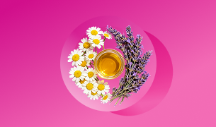 Chamomile & LavenderExtract