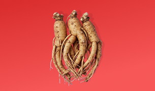 Ginseng Root Extract